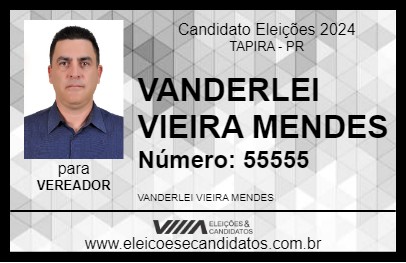 Candidato VANDERLEI VIEIRA MENDES 2024 - TAPIRA - Eleições