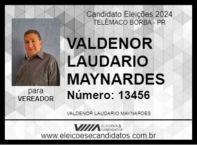 Candidato VALDENOR MIO VERDE 2024 - TELÊMACO BORBA - Eleições