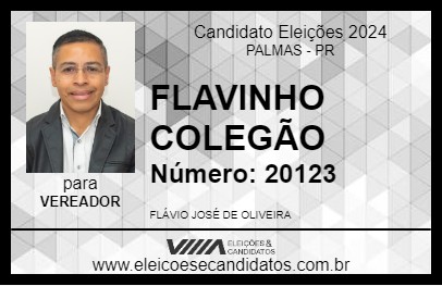 Candidato FLAVINHO COLEGÃO 2024 - PALMAS - Eleições