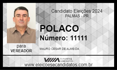 Candidato POLACO 2024 - PALMAS - Eleições