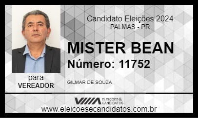 Candidato MISTER BEAN 2024 - PALMAS - Eleições