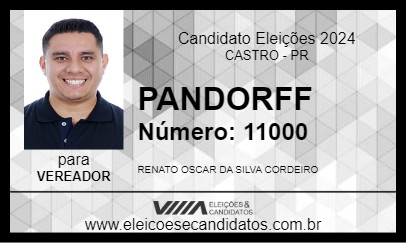 Candidato PANDORFF 2024 - CASTRO - Eleições