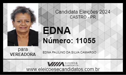 Candidato EDNA 2024 - CASTRO - Eleições