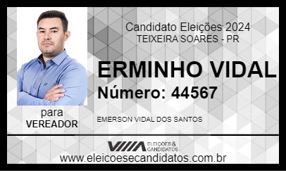 Candidato ERMINHO VIDAL 2024 - TEIXEIRA SOARES - Eleições