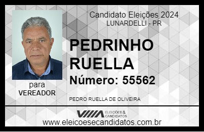 Candidato PEDRINHO RUELLA 2024 - LUNARDELLI - Eleições