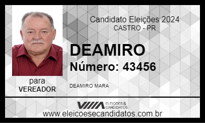 Candidato DEAMIRO 2024 - CASTRO - Eleições