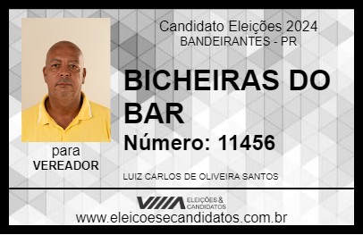 Candidato BICHEIRAS DO BAR 2024 - BANDEIRANTES - Eleições