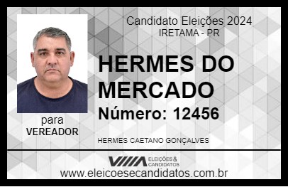 Candidato HERMES DO MERCADO 2024 - IRETAMA - Eleições