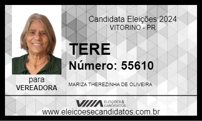 Candidato TERE 2024 - VITORINO - Eleições