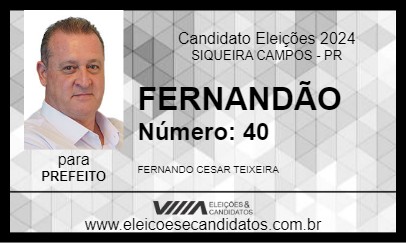 Candidato FERNANDÃO 2024 - SIQUEIRA CAMPOS - Eleições