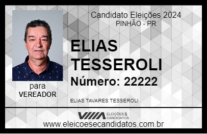 Candidato ELIAS TESSEROLI 2024 - PINHÃO - Eleições