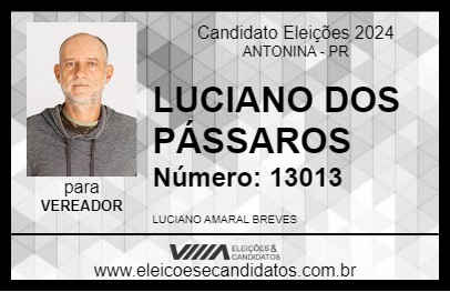 Candidato LUCIANO DOS PÁSSAROS 2024 - ANTONINA - Eleições