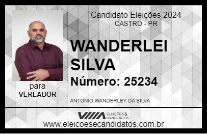 Candidato WANDERLEI SILVA 2024 - CASTRO - Eleições