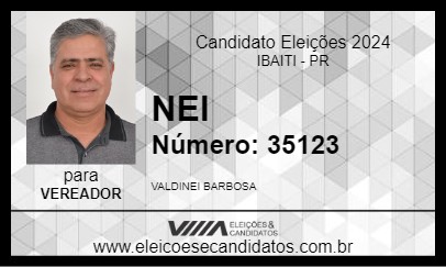 Candidato NEI 2024 - IBAITI - Eleições