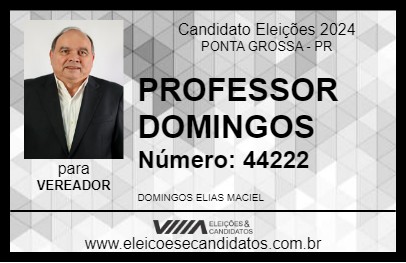 Candidato PROFESSOR DOMINGOS 2024 - PONTA GROSSA - Eleições