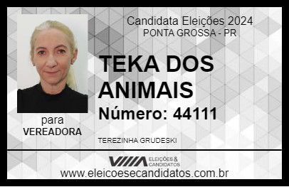 Candidato TEKA DOS ANIMAIS 2024 - PONTA GROSSA - Eleições