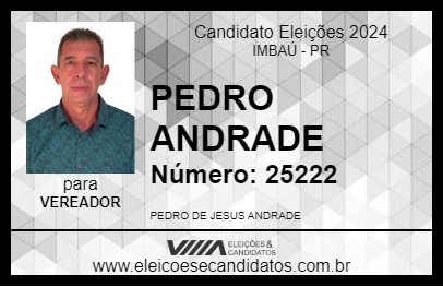 Candidato PEDRO ANDRADE 2024 - IMBAÚ - Eleições