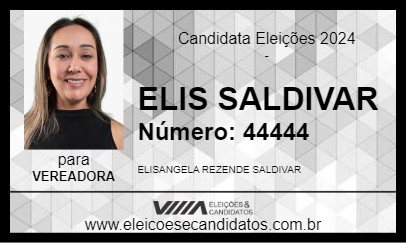 Candidato ELIS SALDIVAR 2024 - TELÊMACO BORBA - Eleições