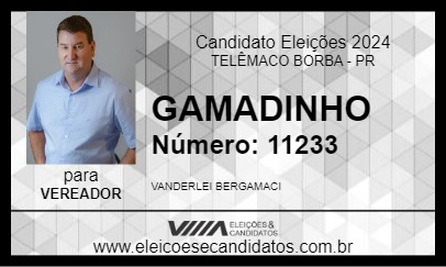 Candidato GAMADINHO 2024 - TELÊMACO BORBA - Eleições