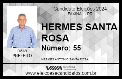 Candidato HERMES SANTA ROSA 2024 - FAXINAL - Eleições