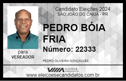 Candidato PEDRO BÓIA FRIA 2024 - SÃO JOÃO DO CAIUÁ - Eleições