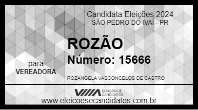 Candidato ROZÃO 2024 - SÃO PEDRO DO IVAÍ - Eleições