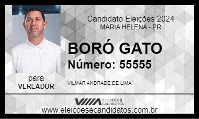 Candidato BORÓ GATO 2024 - MARIA HELENA - Eleições