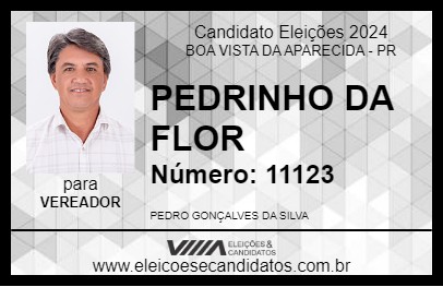 Candidato PEDRINHO DA FLOR 2024 - BOA VISTA DA APARECIDA - Eleições