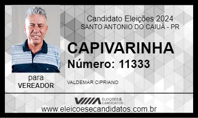 Candidato CAPIVARINHA 2024 - SANTO ANTONIO DO CAIUÁ - Eleições