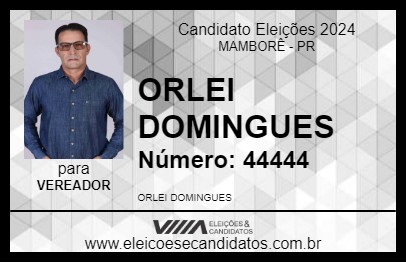 Candidato ORLEI DOMINGUES 2024 - MAMBORÊ - Eleições