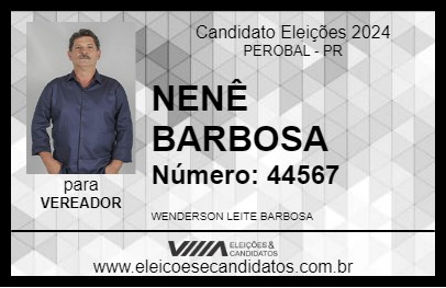 Candidato NENÊ BARBOSA 2024 - PEROBAL - Eleições