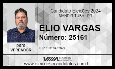 Candidato ELIO VARGAS 2024 - MANDIRITUBA - Eleições