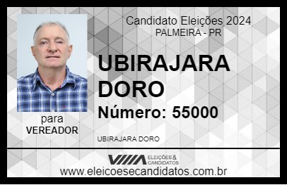 Candidato UBIRAJARA DORO 2024 - PALMEIRA - Eleições