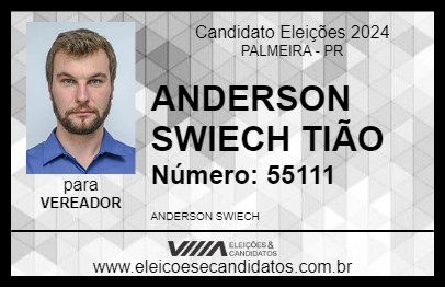 Candidato ANDERSON SWIECH  TIÃO 2024 - PALMEIRA - Eleições