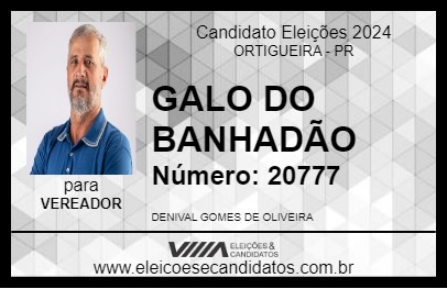 Candidato GALO DO BANHADÃO 2024 - ORTIGUEIRA - Eleições