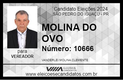 Candidato MOLINA DO OVO 2024 - SÃO PEDRO DO IGUAÇU - Eleições