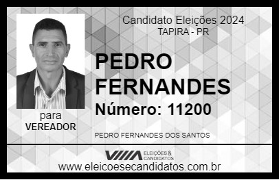 Candidato PEDRO FERNANDES 2024 - TAPIRA - Eleições