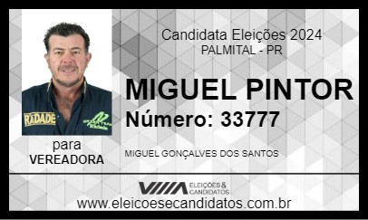 Candidato MIGUEL PINTOR 2024 - PALMITAL - Eleições