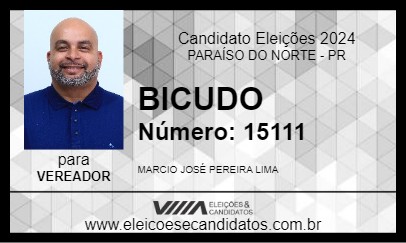 Candidato BICUDO 2024 - PARAÍSO DO NORTE - Eleições