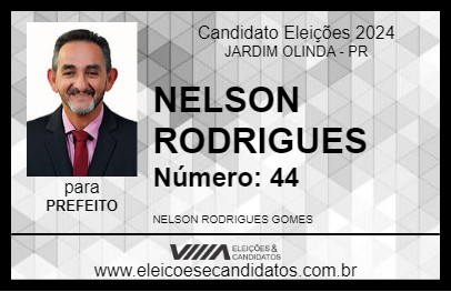 Candidato NELSON RODRIGUES 2024 - JARDIM OLINDA - Eleições