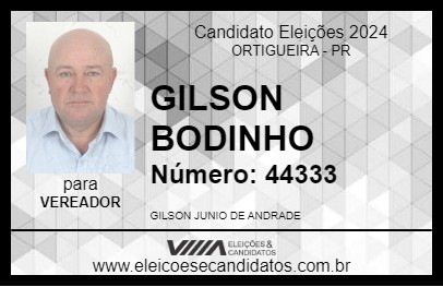 Candidato GILSON BODINHO 2024 - ORTIGUEIRA - Eleições