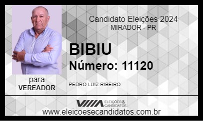 Candidato BIBIU 2024 - MIRADOR - Eleições