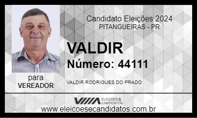 Candidato VALDIR 2024 - PITANGUEIRAS - Eleições