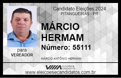 Candidato MÁRCIO HERMAM 2024 - PITANGUEIRAS - Eleições