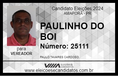 Candidato PAULINHO DO BOI 2024 - AMAPORÃ - Eleições