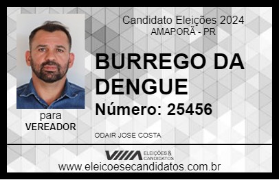 Candidato BURREGO DA DENGUE 2024 - AMAPORÃ - Eleições