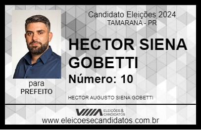 Candidato HECTOR SIENA GOBETTI 2024 - TAMARANA - Eleições