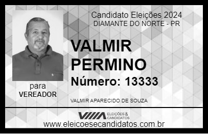 Candidato VALMIR PERMINO 2024 - DIAMANTE DO NORTE - Eleições