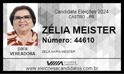 Candidato ZÉLIA MEISTER 2024 - CASTRO - Eleições