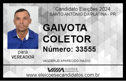 Candidato GAIVOTA COLETOR 2024 - SANTO ANTÔNIO DA PLATINA - Eleições